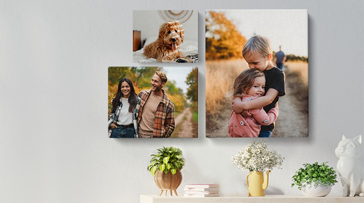 Ready to hang high-quality Photo Canvas. Available in portrait,
          landscape or square in a range of sizes. Pick up today at your local
          Walgreens, CVS Pharmacy or independent photo labs, or get it
          delivered to your door.